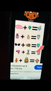 Festpreis Dokumente in Brussel Belgien